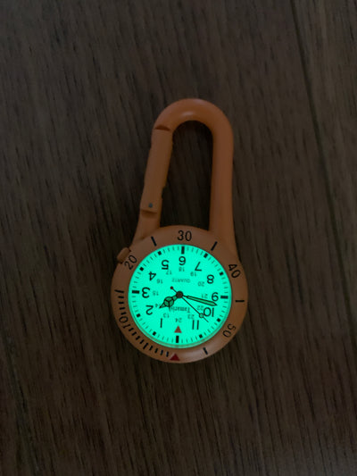 Clip-on Carabiner Watch - Luminescent Dial